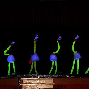 gala_1_18_036